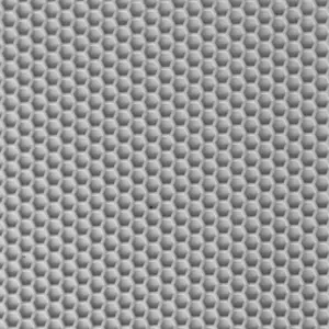 Gri Petek Paspas, Kaymaz Islak Zemin Paspası